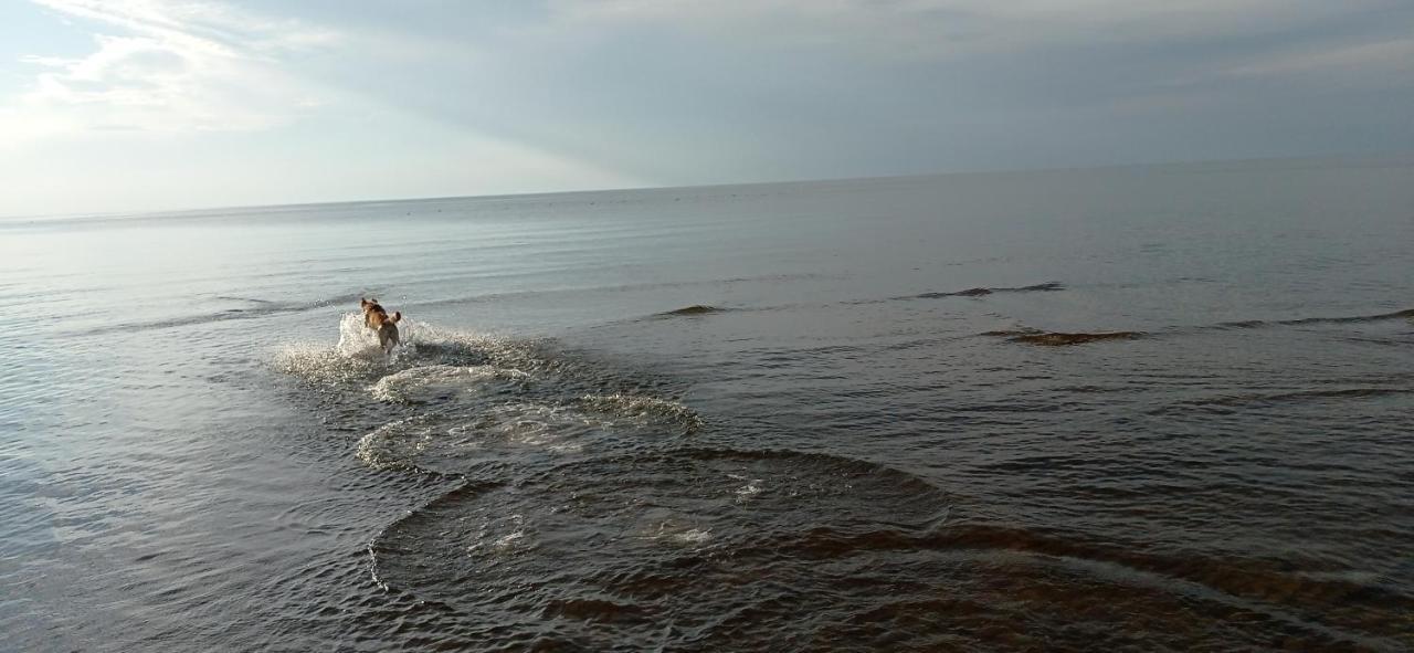 House, Garden & Sauna. Free Parking. Train Stop-200 M. Sea-1 Km. Jurmala Ngoại thất bức ảnh