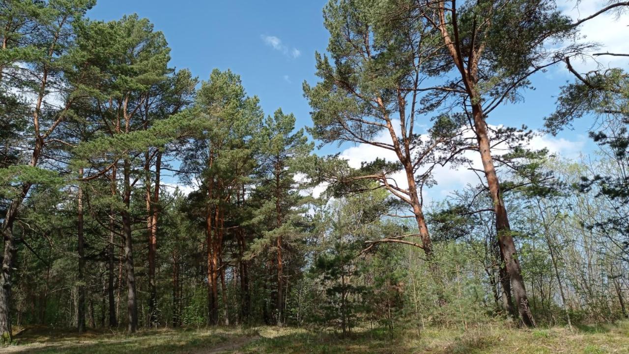House, Garden & Sauna. Free Parking. Train Stop-200 M. Sea-1 Km. Jurmala Ngoại thất bức ảnh
